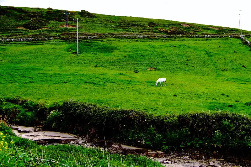 Green fields beside the Aille River at Doolin